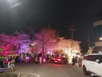 사는 이야기 - 충청남도 누리집(홈페이지) 충청남도 누리집(홈페이지)