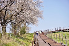 여행 - 충청남도 누리집(홈페이지) 충청남도 누리집(홈페이지)