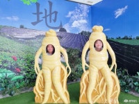 여행 - 충청남도 누리집(홈페이지) 충청남도 누리집(홈페이지)