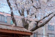 여행 - 충청남도 누리집(홈페이지) 충청남도 누리집(홈페이지)