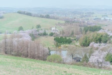 여행 - 충청남도 누리집(홈페이지) 충청남도 누리집(홈페이지)