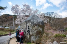 여행 - 충청남도 누리집(홈페이지) 충청남도 누리집(홈페이지)