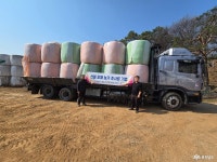 지역신문뉴스 - 충청남도 누리집(홈페이지) 충청남도 누리집(홈페이지)