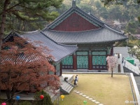 포토뉴스 - 충청남도 누리집(홈페이지) 충청남도 누리집(홈페이지)