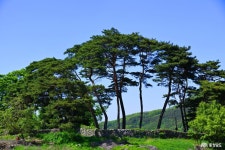 여행 - 충청남도 누리집(홈페이지) 충청남도 누리집(홈페이지)
