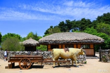 여행 - 충청남도 누리집(홈페이지) 충청남도 누리집(홈페이지)