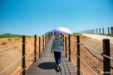 문화, 역사 - 충청남도 누리집(홈페이지) 충청남도 누리집(홈페이지)