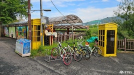 정책/컬럼 - 충청남도 누리집(홈페이지) 충청남도 누리집(홈페이지)