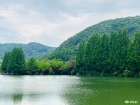 포토뉴스 - 충청남도 누리집(홈페이지) 충청남도 누리집(홈페이지)