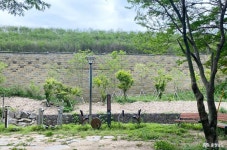 포토뉴스 - 충청남도 누리집(홈페이지) 충청남도 누리집(홈페이지)