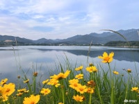 여행 - 충청남도 누리집(홈페이지) 충청남도 누리집(홈페이지)