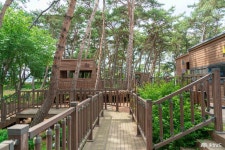 사는 이야기 - 충청남도 누리집(홈페이지) 충청남도 누리집(홈페이지)