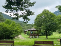 여행 - 충청남도 누리집(홈페이지) 충청남도 누리집(홈페이지)