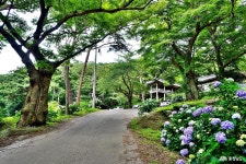 여행 - 충청남도 누리집(홈페이지) 충청남도 누리집(홈페이지)