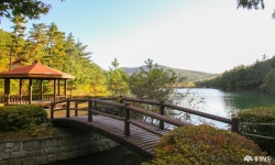 지역신문뉴스 - 충청남도 누리집(홈페이지) 충청남도 누리집(홈페이지)