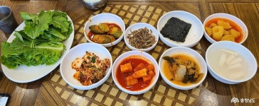 정책/컬럼 - 충청남도 누리집(홈페이지) 충청남도 누리집(홈페이지)