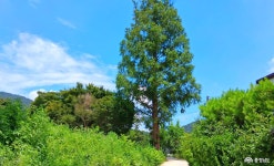 사는 이야기 - 충청남도 누리집(홈페이지) 충청남도 누리집(홈페이지)