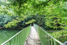 여행 - 충청남도 누리집(홈페이지) 충청남도 누리집(홈페이지)