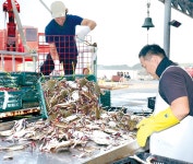 시군뉴스 - 충청남도 누리집(홈페이지) 충청남도 누리집(홈페이지)
