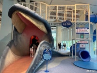 여행 - 충청남도 누리집(홈페이지) 충청남도 누리집(홈페이지)