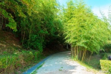 여행 - 충청남도 누리집(홈페이지) 충청남도 누리집(홈페이지)