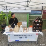 사는 이야기 - 충청남도 누리집(홈페이지) 충청남도 누리집(홈페이지)