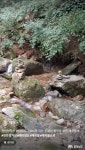 여행 - 충청남도 누리집(홈페이지) 충청남도 누리집(홈페이지)