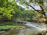 여행 - 충청남도 누리집(홈페이지) 충청남도 누리집(홈페이지)