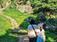 부여 성흥산성, 사랑나무에서 만난 푸른 바람의 계절 충청남도 누리집(홈페이지)