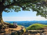 부여 성흥산성, 사랑나무에서 만난 푸른 바람의 계절 충청남도 누리집(홈페이지)
