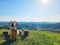 부여 성흥산성, 사랑나무에서 만난 푸른 바람의 계절 충청남도 누리집(홈페이지)