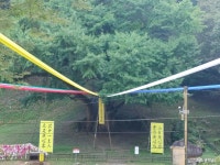 여행 - 충청남도 누리집(홈페이지) 충청남도 누리집(홈페이지)