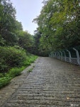 사람들 - 충청남도 누리집(홈페이지) 충청남도 누리집(홈페이지)