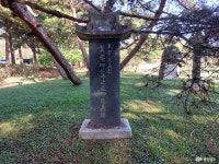 여행 - 충청남도 누리집(홈페이지) 충청남도 누리집(홈페이지)