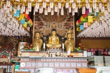 포토뉴스 - 충청남도 누리집(홈페이지) 충청남도 누리집(홈페이지)