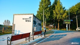 늦가을의 공주 정안천, 초록빛이 남은 메타세쿼이아길을 걷다 충청남도 누리집(홈페이지)