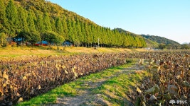 여행 - 충청남도 누리집(홈페이지) 충청남도 누리집(홈페이지)