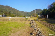 문화, 역사 - 충청남도 누리집(홈페이지) 충청남도 누리집(홈페이지)