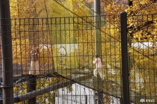 전체기사 - 충청남도 누리집(홈페이지) 충청남도 누리집(홈페이지)