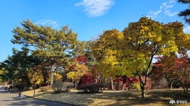 문화, 역사 - 충청남도 누리집(홈페이지) 충청남도 누리집(홈페이지)