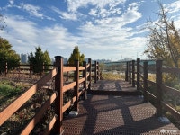 포토뉴스 - 충청남도 누리집(홈페이지) 충청남도 누리집(홈페이지)