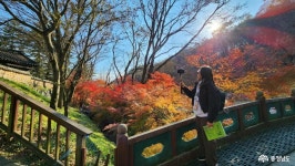 여행 - 충청남도 누리집(홈페이지) 충청남도 누리집(홈페이지)