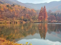 공주 가을 산책하기 좋은 불장골저수지 송곡지 충청남도 누리집(홈페이지)