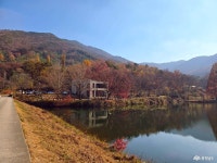 여행 - 충청남도 누리집(홈페이지) 충청남도 누리집(홈페이지)