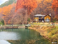 여행 - 충청남도 누리집(홈페이지) 충청남도 누리집(홈페이지)