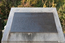 사는 이야기 - 충청남도 누리집(홈페이지) 충청남도 누리집(홈페이지)