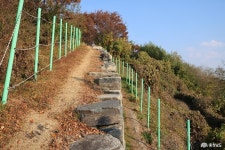 사는 이야기 - 충청남도 누리집(홈페이지) 충청남도 누리집(홈페이지)