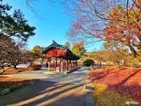 포토뉴스 - 충청남도 누리집(홈페이지) 충청남도 누리집(홈페이지)