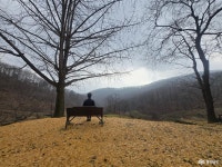 사는 이야기 - 충청남도 누리집(홈페이지) 충청남도 누리집(홈페이지)