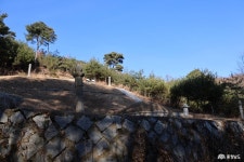 먹거리 - 충청남도 누리집(홈페이지) 충청남도 누리집(홈페이지)